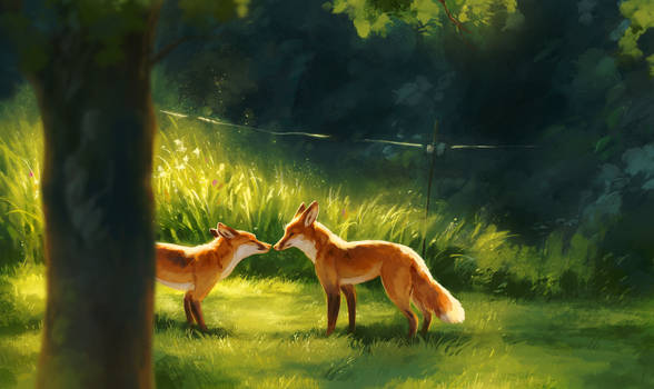 August Foxes