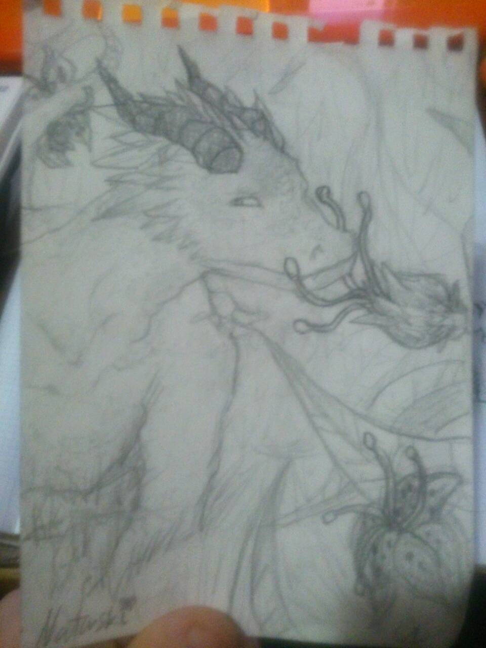 dragon drawing