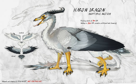 Haron Dragon Adopt (closed)