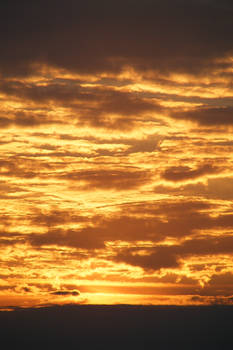 SunSet  Sky 2