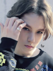 Vernon Seventeen 2016 Portrait Art - TheRagedlion