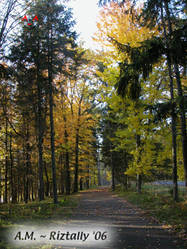 Fall trail 2