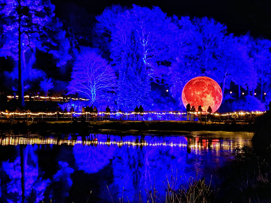 Leonardslee Gardens Christmas lights by Weekendphotographer on DeviantArt