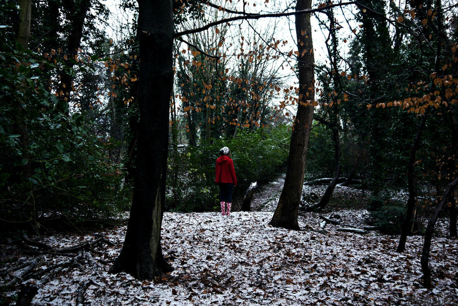 The Girl In The Woods