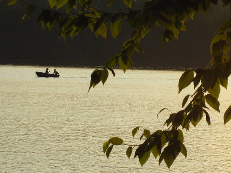 Sunset Rowing