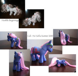 Cali - Custom MLP