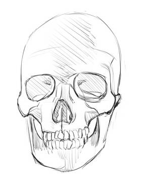 Skull Practice