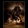 FRIESIAN