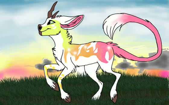    YCH finished minkin