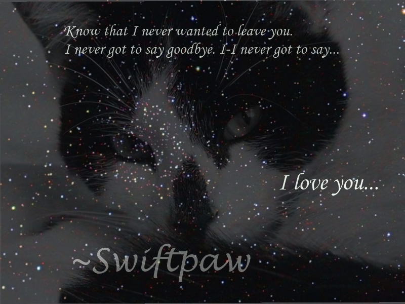 Swiftpaw Tribute