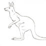 Free Kangaroo Lineart