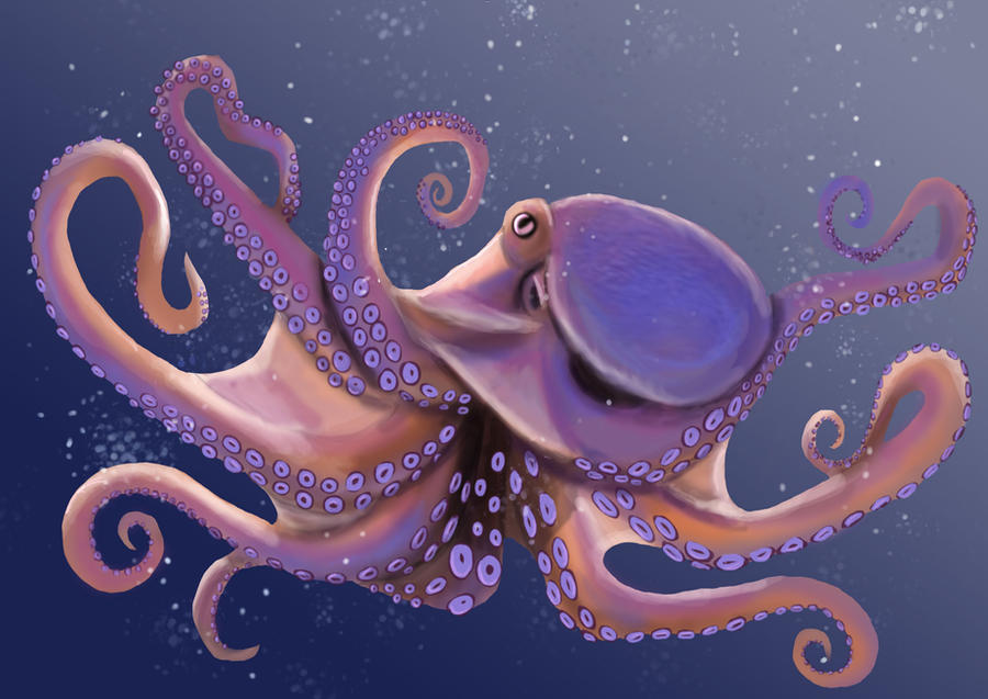 Octopus by SapphireMinx on DeviantArt