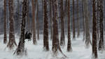 Snowy Brethil Forest - 85.Wood by yllogic