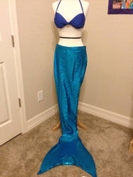 Mermaid Costume