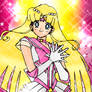 Celestial Sailor Power Hero