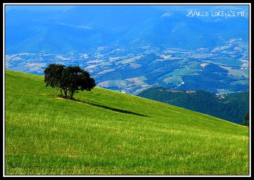 POGGIO SAN ROMUALDO-FABRIANO (AN)-TOGETHER FOREVER