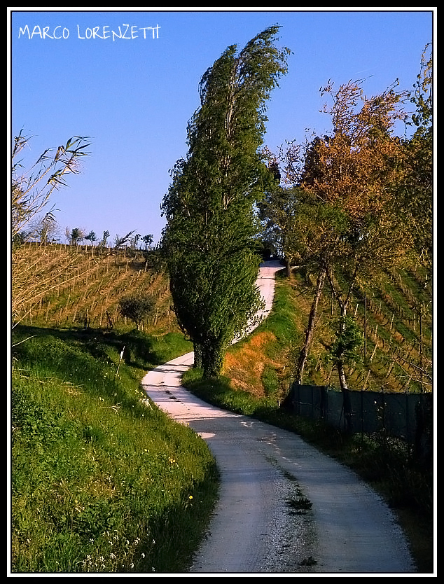 MONTEROBERTO (AN)-A WHITE ROAD IN THE COUNTRYSIDE