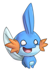 Mudkip