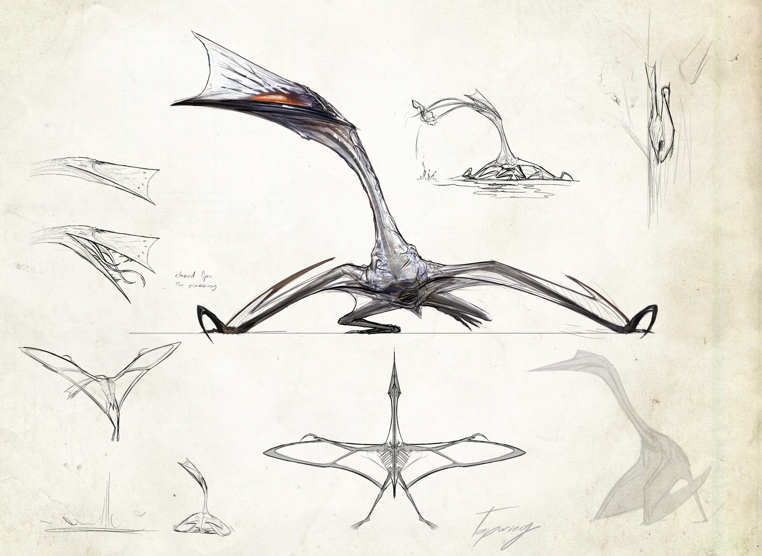 Neurotenic quetzalcoatlus- V glass