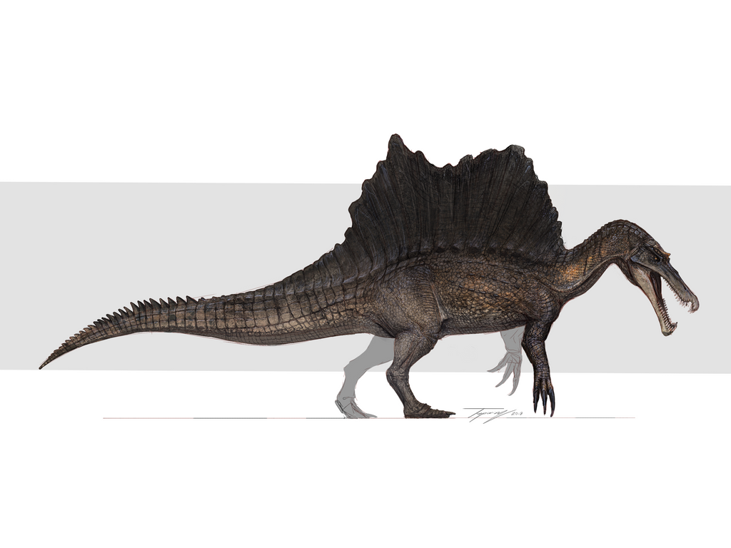 Reimagined spino by Tapwing