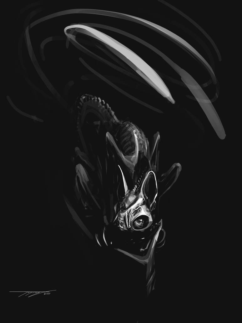 Interposed Cat Inverted cat by Tapwing on DeviantArt