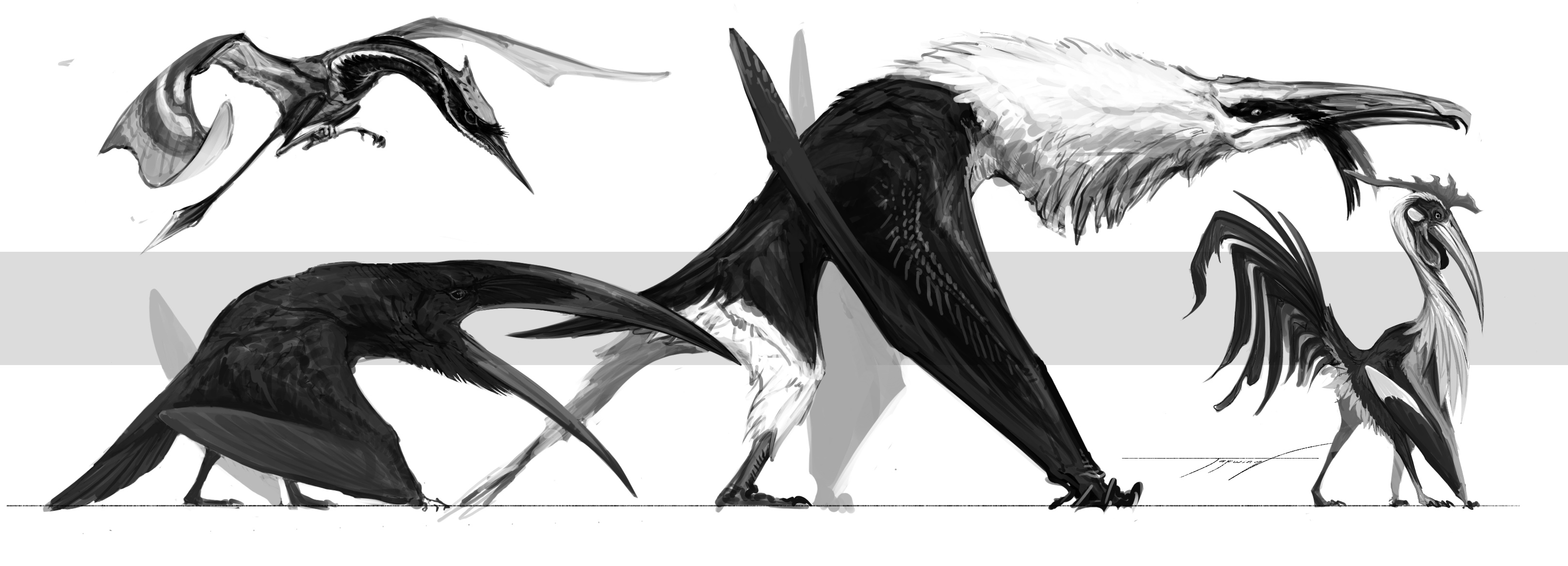 Deviantart Fallow Night crow and vaulter follow the dawn by Tapwing on DeviantArt