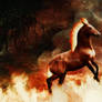 The Fire Horse