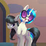 Vinyl Tavi Day 2025