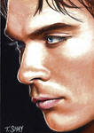 Damon-The Vampire Diaries Card by Dr-Horrible