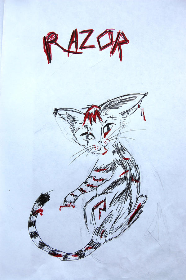 Johnny Razor Cat Razor Cat by Kemet-44 on DeviantArt