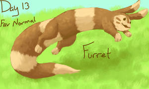 Day 13 Furret