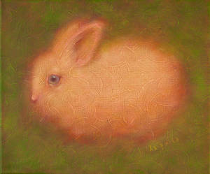 rabbit by dredru