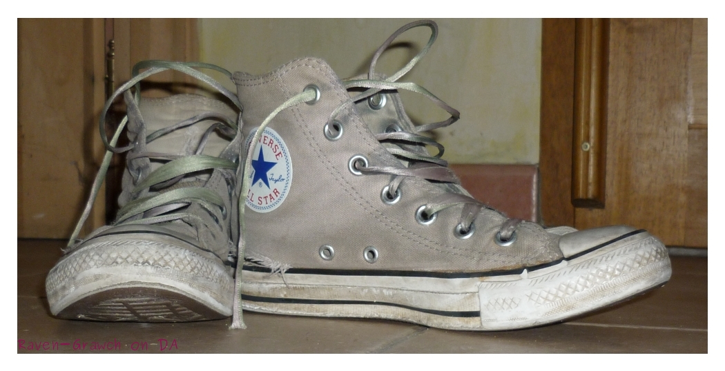 Converses 2011