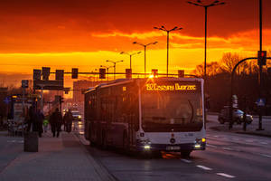 Bus in Krakow