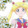 Super Sailor Moon aka Usagi Tsukino 