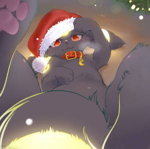 Umbreon's Christmas Snapshot