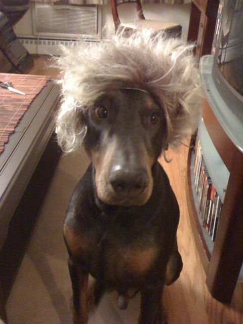 Zephyr as Rod Warhol Einstein