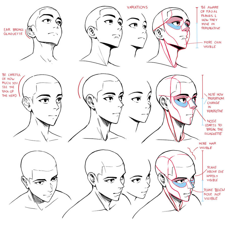 Xp Pen Tutorial XP-PEN Tutorial by XPPENUSA on DeviantArt