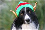 Christmas elf by svarci