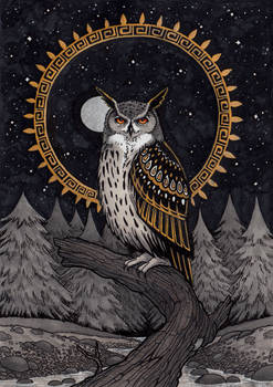 Owl