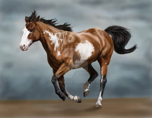 Horse 2 Finished