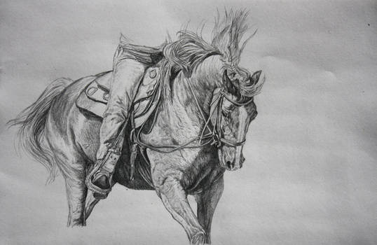 Pencil Sketch horse 2