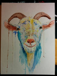 [Watercolor Practice] Goat