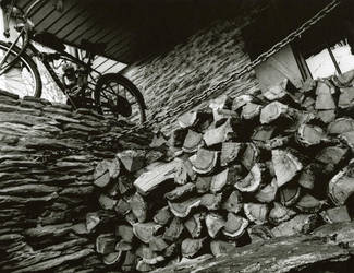 The Woodpile