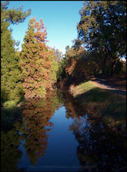 Autumn Relaxation