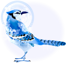 Blue Jay