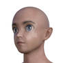 3d Anime Boy Head