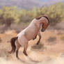 Red roan mustang