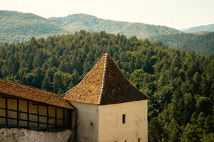 The watchtower view