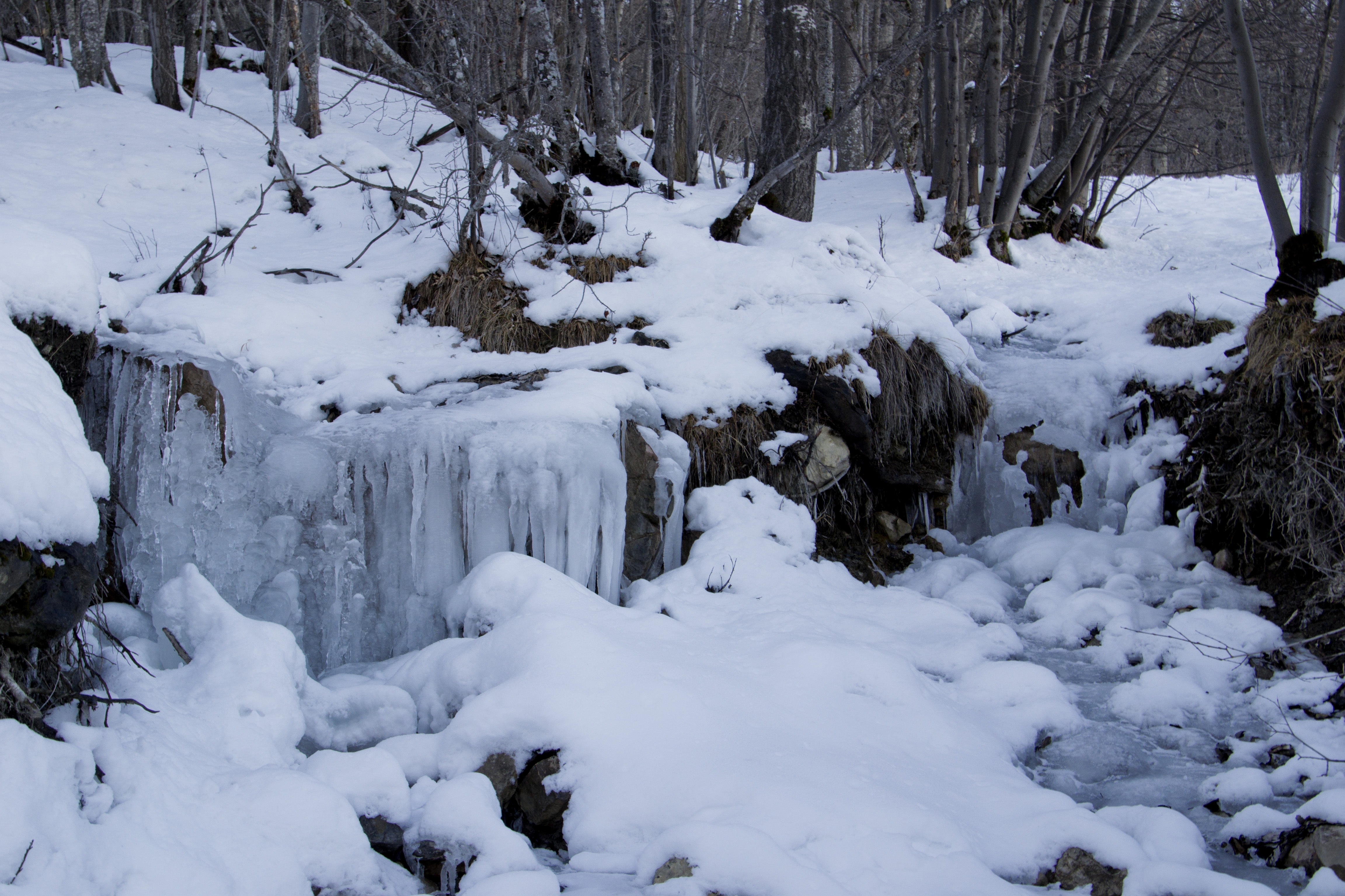 Ice fountain